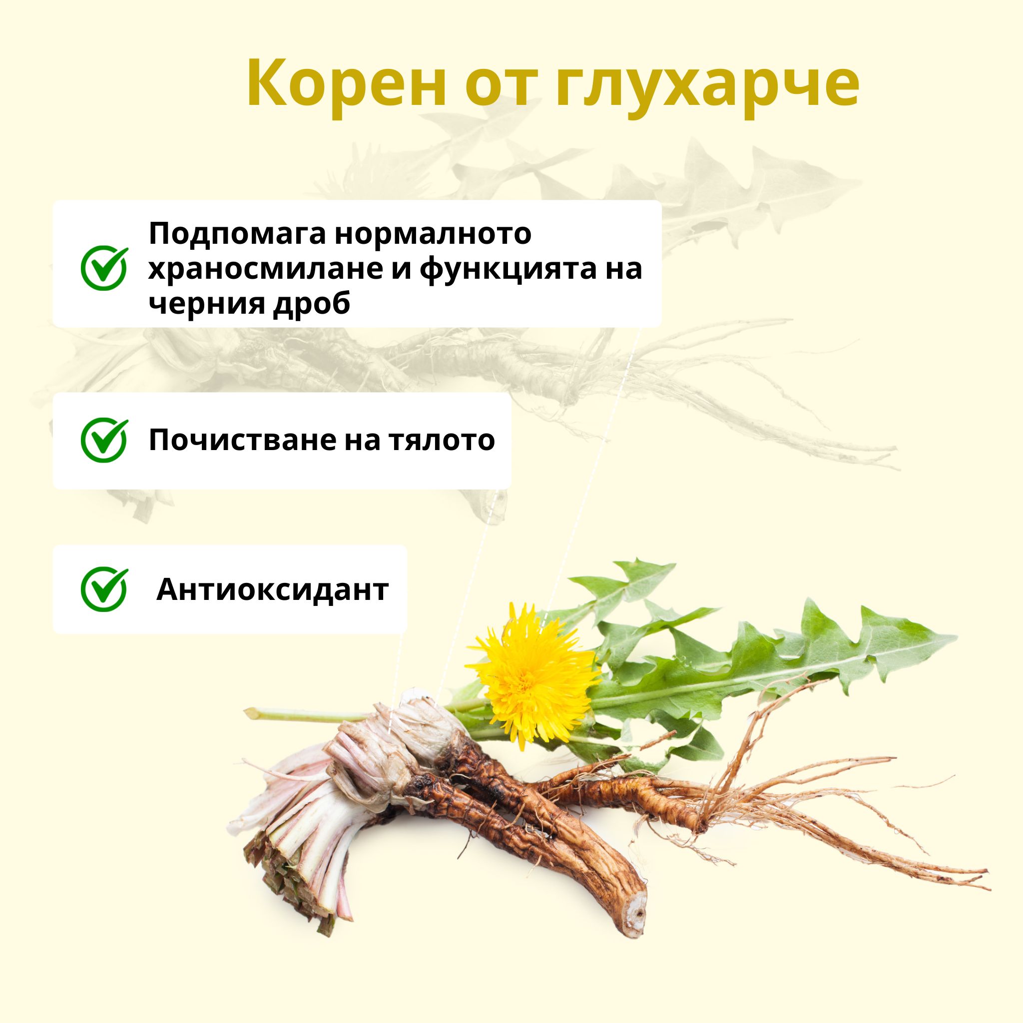 (Bulharština) (kopie)